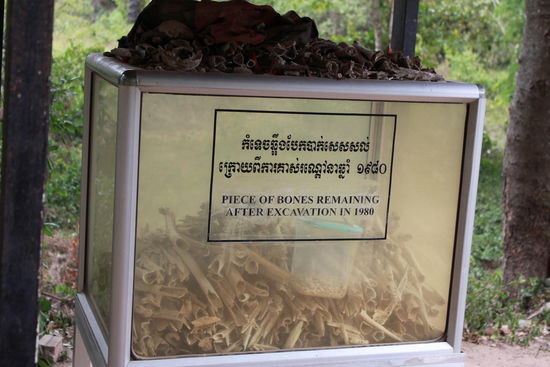 Die Knochen werden einmal pro Monat zusammengesammelt....