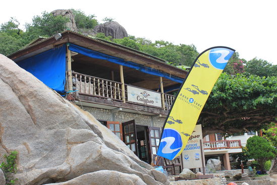 Calypso - Super Tauchschule....