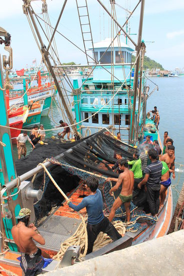Hier wird das Netz neu geordnet...