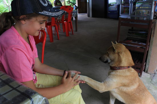 Hab ja gesagt: Hundemama...