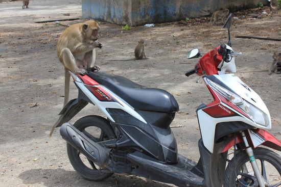 Patric's Roller wird in Beschlag genommen... evtl. will der nur mitfahren...