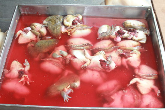 und ä guetä zum dritten... erkennt ihr es? Quack, Quack... welche Prinzessin will sie wach küssen? Unsere Tochter wollte auf jeden Fall nicht....