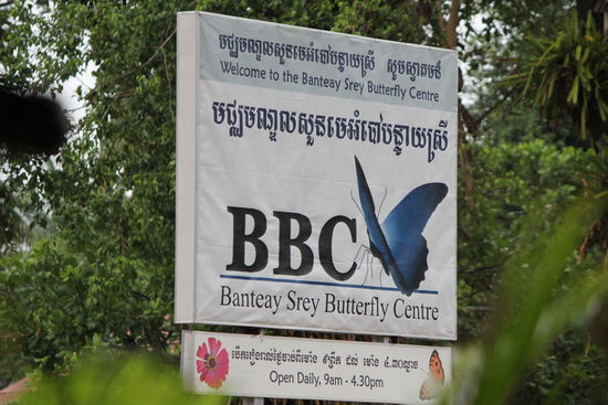 Schmetterlings-Garten