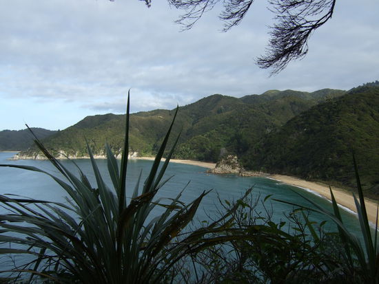 Ausblick ueber die Buchten des Abel Tasman National Parks.