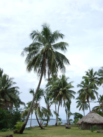 So traumhaft leben die Menschen hier!
Sie versorgen sich selbst mit geringen Mitteln, bauen ihr eigenes Gemuese und Obst an und gehen viel Fischen.