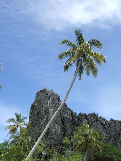 Auch hier habe ich nur ein paar Meter weiter mit meinem Zelt uebernachtet.
Abends habe ich ein kleines Fischerboot von weitem gesehen, bin ruebergeschwommen und habe gefragt, ob ich spaeter Fisch von ihnen kaufen koennte.
So hatte ich kurz darauf frischen Fisch, den ich mir am Lagerfeuer zubereitet habe. Sehr lecker!