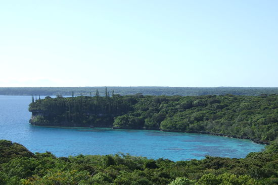 Etwas weiter habe ich diese Bucht entdeckt.
Da ich ja meine Schnorchelausruestung immer dabei habe bin ich gleich ins Wasser.
Das Tauchen war genial, unglaublich, unvergesslich und traumhaft.
An einem Tauchgang habe ich allein vier Schildkroete gesehen.
Die eine lag in drei Metern Tiefe auf einer Koralle und hat sich ausgeruht.
So konnte ich mich neben sie legen und ihr kurz ueber den Panzer streicheln, bevor sie weggeschwommen ist.
Spaeter bin ich mit ihr bestimmt fuer gute zehn Minuten zusammen in einem Tempo das Riff entlang geschwommen.
Ich an der Oberflaeche und sie so 1,5 Meter unter mir.
Die Schildkroete ist sogar neben mir zum Luftholen aufgetaucht.
Auch Haie gab es wieder, wobei der eine etwas Interesse an mir gezeigt hat.
Kein Wunder wenn man sich das Bein an den Korallen angeratscht hat und es blutet.