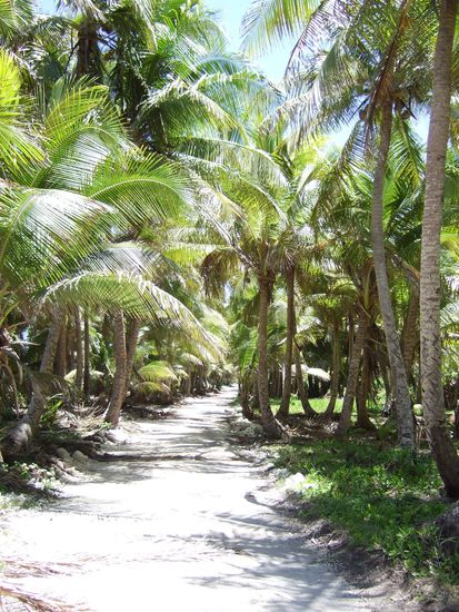 Mein Weg fuehrt hier entlang...