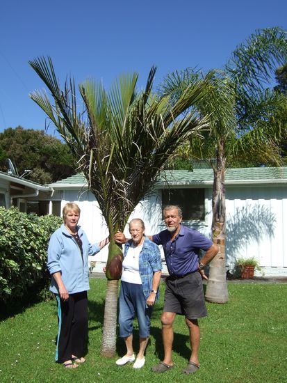 Abschiedsphoto von Christian, Hannelore und ihrer Tochter Claudia.
Ich bin ihnen sehr dankbar fuer die schoene Zeit, die ich hatte und die vielen Erfahrungen, die ich auf dem Segeltrip sammeln konnte.