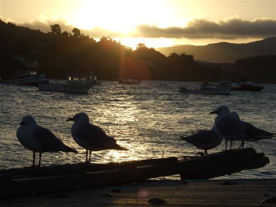 Abendstimmung am Hafen in Moeraki Village.
Denn auch Entspannung ist wichtig beim Reisen!