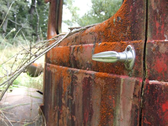 Beispiel fuer eine der vielen Detailaufnahmen.
Im naechsten Kapitel seht ihr nun wie meine Reise nach der Zeit in Seacliff weitergegangen ist!