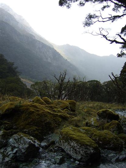 Ein kleiner Abstecher vom Routeburntrack in ein anderes, unberuehrteres Tal!
Wie man sieht hatten wir am ersten Tag echtes Pech mit dem Wetter!