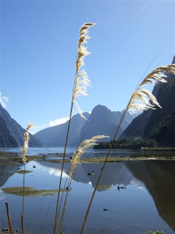 Milford Sound am naechsten Tag!
Nico und ich hatten einfach pures Glueck mit dem Wetter!