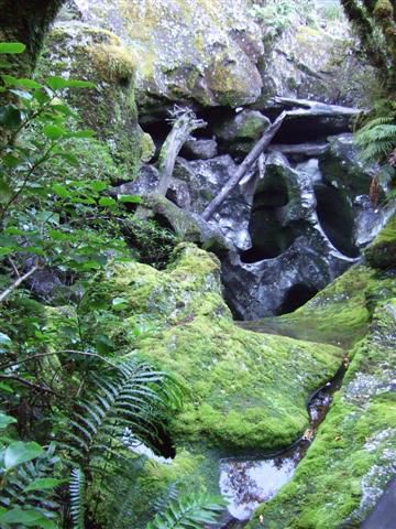 Wer entdeckt die zwei Gesichter im Gestein des "Chasm" im Milfordtal?
