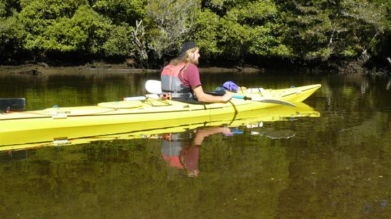 Nach der Wanderung haben wir uns am naechsten Tag Kayaks gemietet!
Das Wasser ist hier kristallklar, man paddelt also ueber ein grosses Aquaruim!