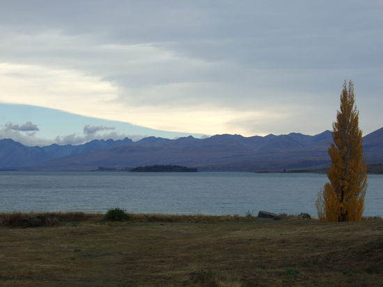 Dies ist der (viel zu) beruehmte Lake Tekapo.
Wie ihr an der Natur sehen koennt, ist hier in NZ Ende April Anfang Herbst angesagt.