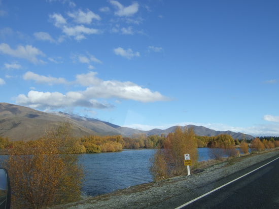Der Herbst winkt durchs Autofenster.