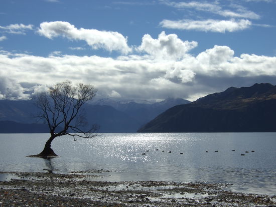 Der Lake Wanaka bei Wanaka.