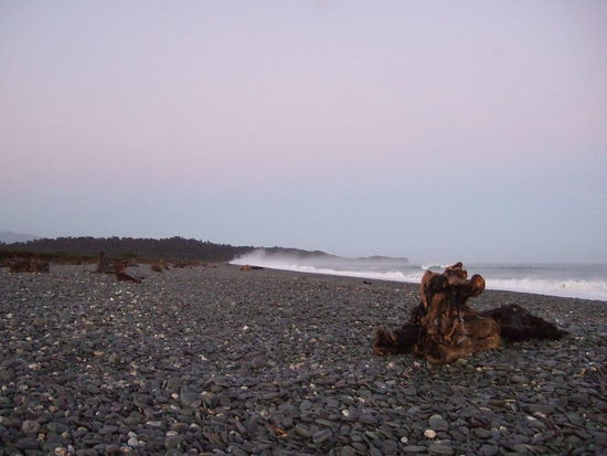 Noch ein einsamer Strand.
Diesmal gespickt mit Treibholz. Es ist, als ob man durch eine Kunstausstellung spaziert.
Die Natur ist der groesste Kuenstler!