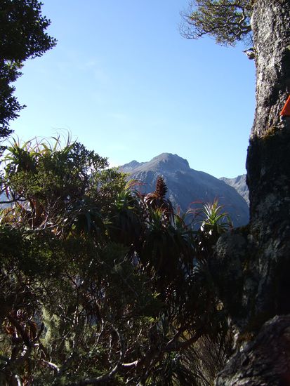 Wir sind von dem Oertchen Arthur's Pass aus auf den Avelanche Peak gewandert.
Eine tolle Kurzwanderung von nur ein paar Stunden.
