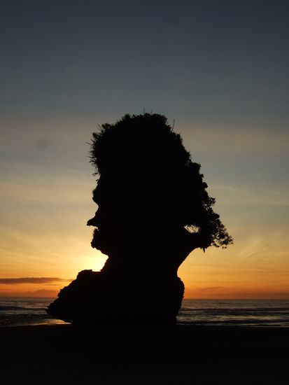 Die Natur hat viele Gesichter.