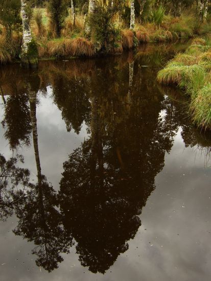 Sumpflandschaft nach einer weiteren Stunde wandern.