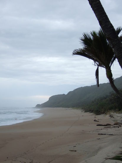 Ich bin auf dem ganzen Weg niemandem begegnet.
Den Strand bin komplett entlang gewandert, es gab keine anderen Fussspuren ausser meinen.
"Manche Abdruecke sind Eindruecke, die bleiben"