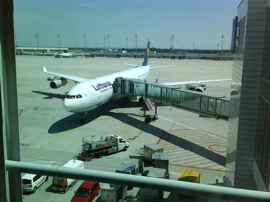 Mein Flieger: Airbus 300-340