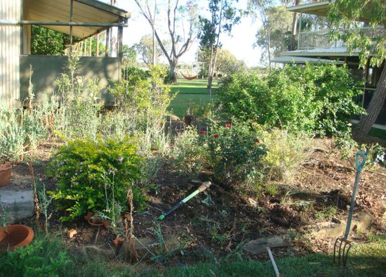 einer der vielen Gärten "vorher"...