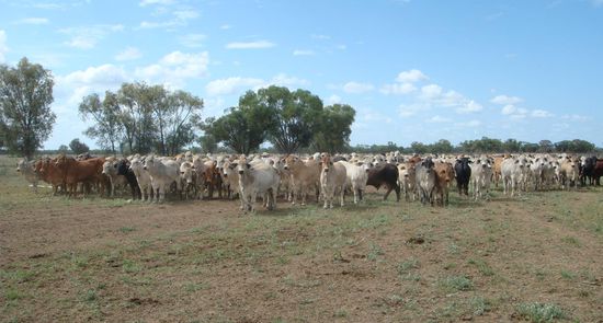 that's what it's all about!