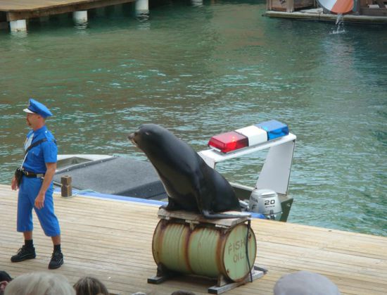 Kommissar Rex auf australisch