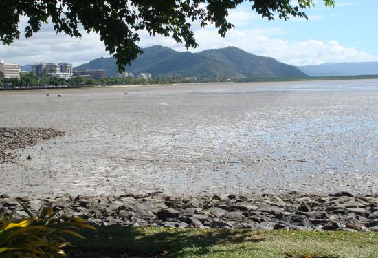 ...und darum hat Cairns eine Lagoon