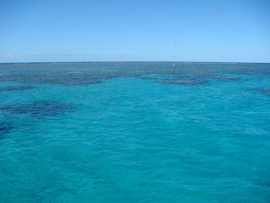 Unser 1.Riff etwa 40 KM von Cairns entfernt