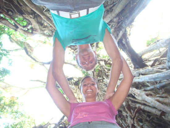 ober uns ein "big-fig-tree"