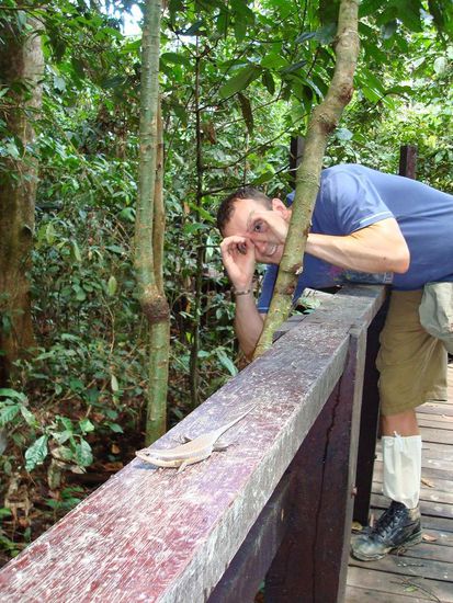 Rungiii auf Brautschau...