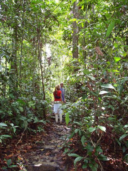 Es wurde dichter ...