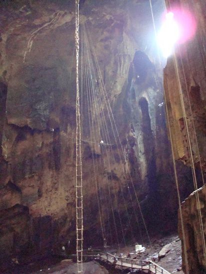 Gomantong Cave mit Ernteleitern