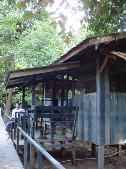 Unsere Huette im Wald