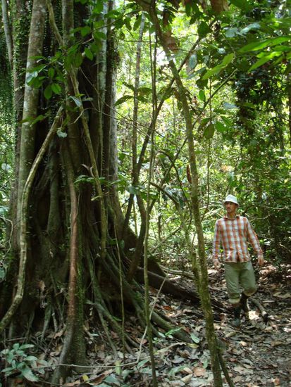 Ein Bauer (-schmidt)im Dschungel