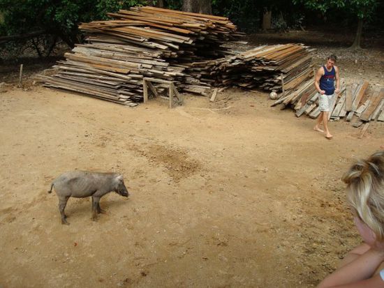 Als die Rangfolge geklaert war,  legte sich Matze wieder auf den Platz des Rudelfuehrers.