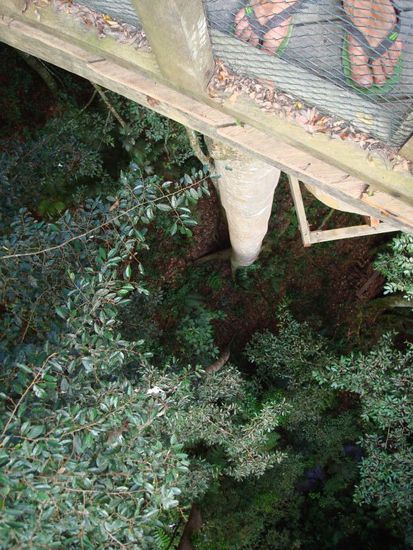 Da kann man schon mal Schweissfuesse bekommen...