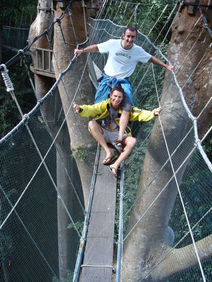 zwei Affen in den Seilen