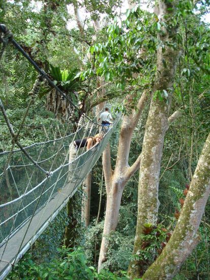 ui ui ui...immer noch ganz schoen hoch