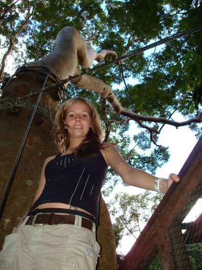 Matze's Lieblingsschmuseaeffchenknuddelkuh