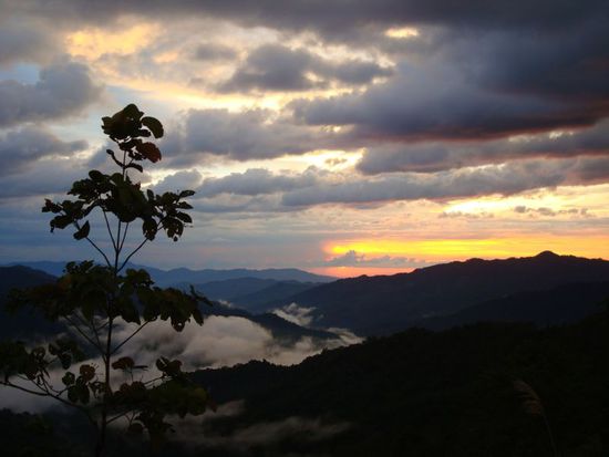 Gute Nacht Kota Kinabalu