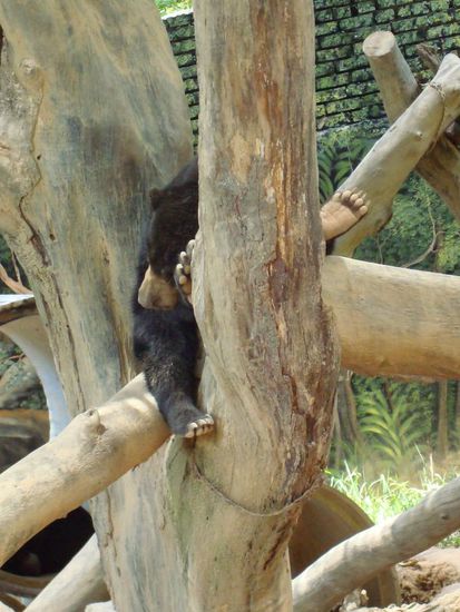 ...kkkkrrrr, kkkkrrrr....