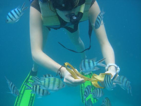 Wir tauchen bald wieder auf!