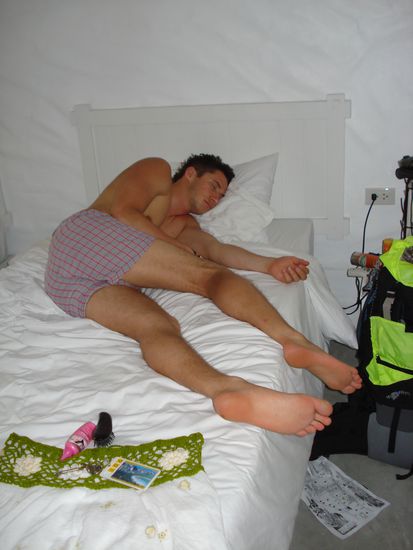 Auch Geckos muessen irgendwann mal schlafen...