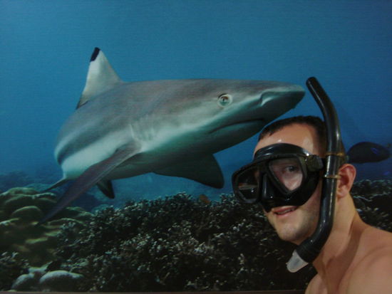 Rungiii mit Schwarzspitzenriffhai, oder andersrum.