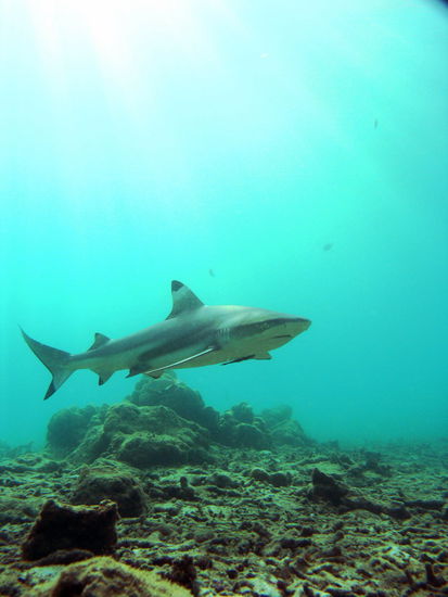 ...erst ueber uns...